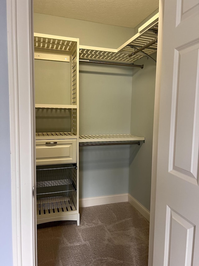 8730 Swisher Creek Xing, New Albany, OH 43054 - spacious closet with dark colored carpet
