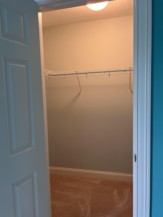 8730 Swisher Creek Xing, New Albany, OH 43054 - walk in closet with carpet
