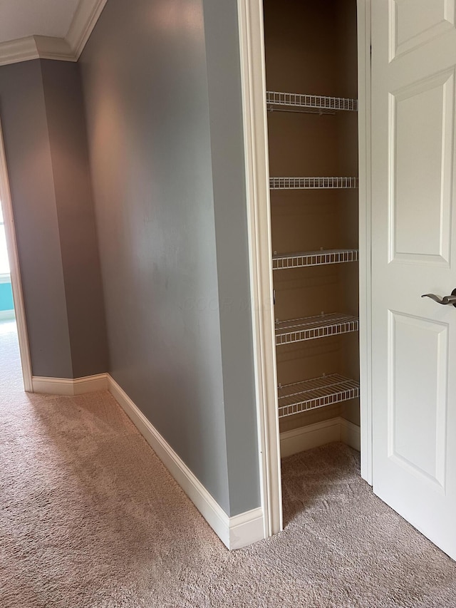 8730 Swisher Creek Xing, New Albany, OH 43054 - view of closet