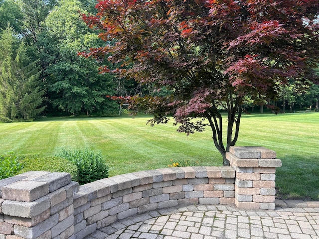 8730 Swisher Creek Xing, New Albany, OH 43054 - view of grassy yard