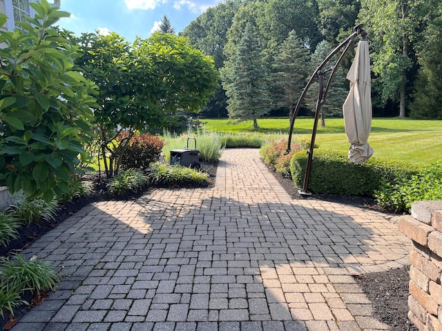 8730 Swisher Creek Xing, New Albany, OH 43054 - view of patio / terrace