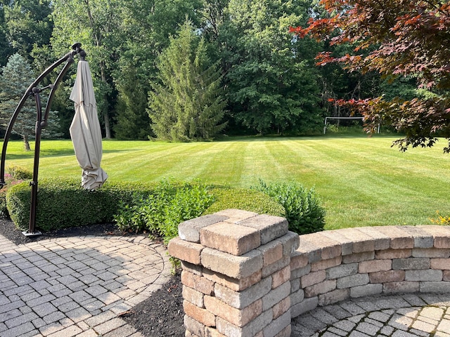 8730 Swisher Creek Xing, New Albany, OH 43054 - view of green lawn