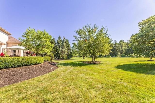 8465 Bakircay Ln, Powell, OH 43065 - photo 57