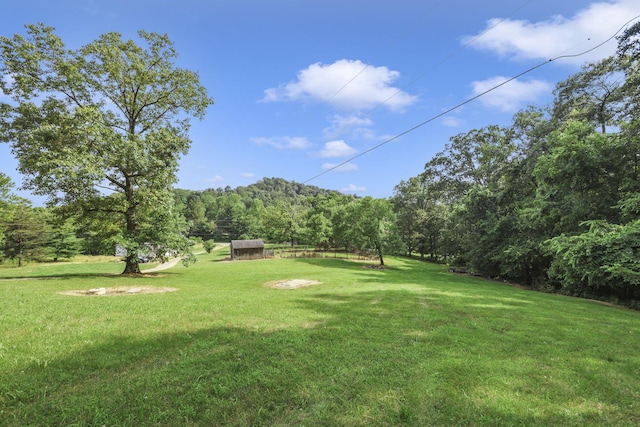 1171 Brown Hollow Rd, Chillicothe, OH 45601 - photo 60