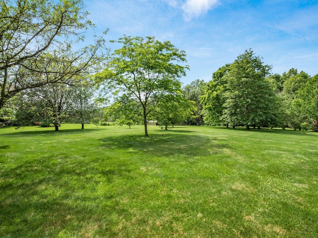 16239 Hunters Run, Marysville, OH 43040 - photo 39