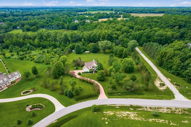 16239 Hunters Run, Marysville, OH 43040 - photo 4