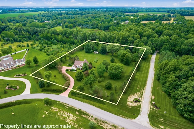 16239 Hunters Run, Marysville, OH 43040 - photo 47