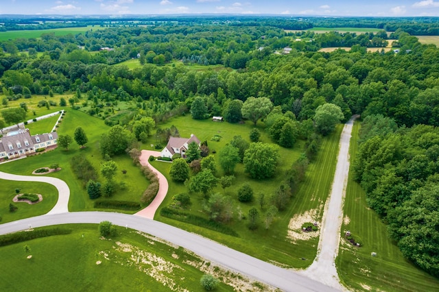 16239 Hunters Run, Marysville, OH 43040 - photo 48