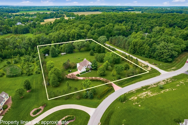 16239 Hunters Run, Marysville, OH 43040 - photo 49