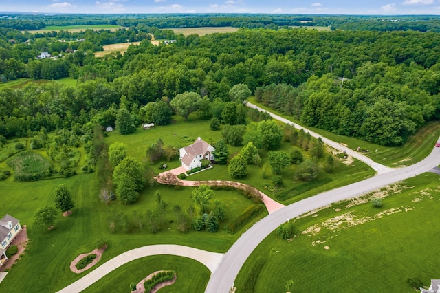 16239 Hunters Run, Marysville, OH 43040 - photo 50