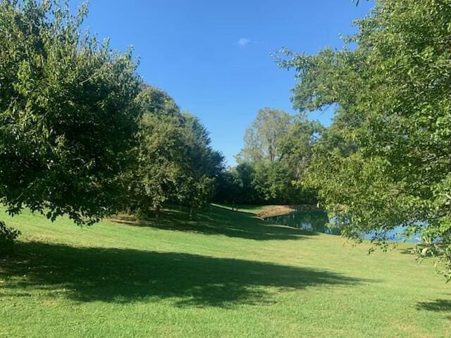 15326 Hartford Rd, Sunbury, OH 43074 - view of green lawn