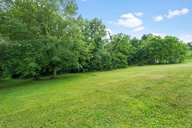 1350 Taylor Blair Rd, West Jefferson, OH 43162 - photo 74