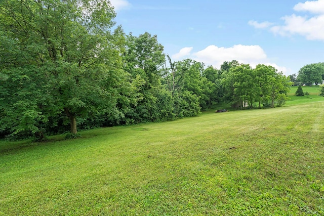 1350 Taylor Blair Rd, West Jefferson, OH 43162 - photo 75