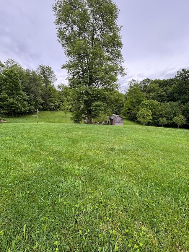 4176 Palmer Rd NE, New Lexington, OH 43764 - photo 3