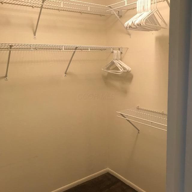 1395 Lake Shore Dr Unit 122, Columbus, OH 43204 - view of walk in closet