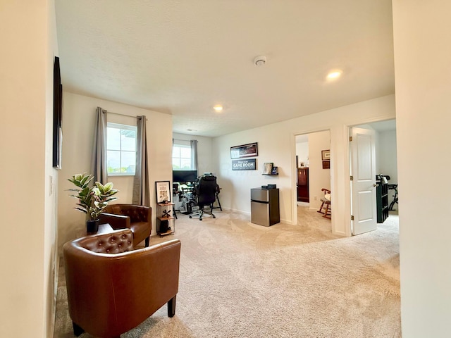458 Quincy Cir, London, OH 43140 - photo 33