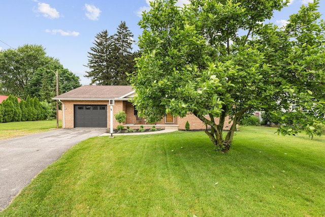 791 Summit St, Marion, OH 43302 - photo 1