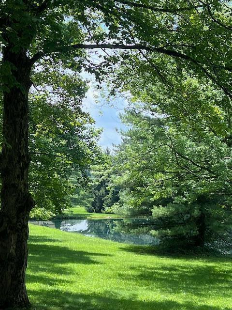 171 Ginder Rd NE, Lancaster, OH 43130 - view of green lawn with a water view and a forest view