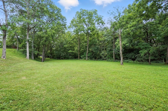 2051 Borror Rd, Grove City, OH 43123 - photo 58