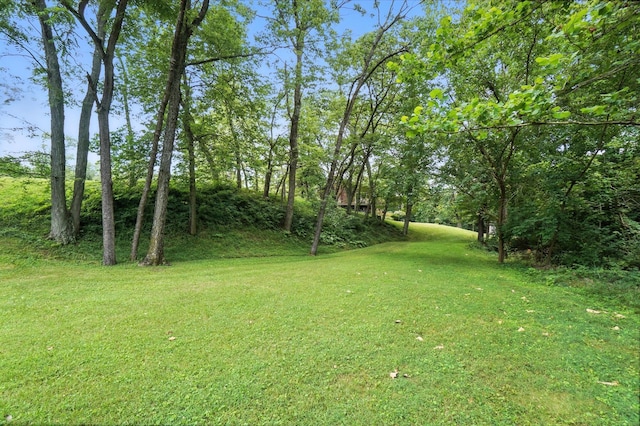 2051 Borror Rd, Grove City, OH 43123 - photo 59