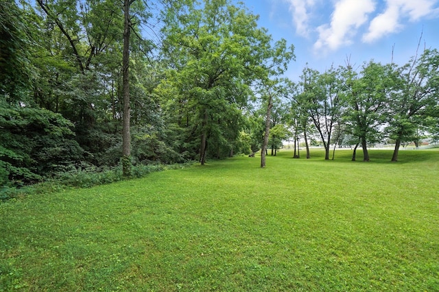 2051 Borror Rd, Grove City, OH 43123 - photo 57