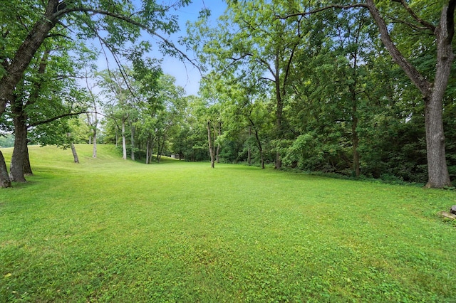 2051 Borror Rd, Grove City, OH 43123 - photo 60