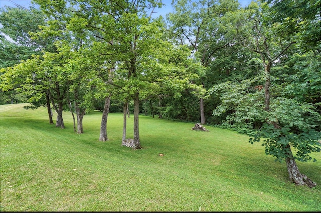 2051 Borror Rd, Grove City, OH 43123 - photo 55