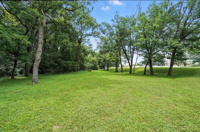 2051 Borror Rd, Grove City, OH 43123 - photo 56