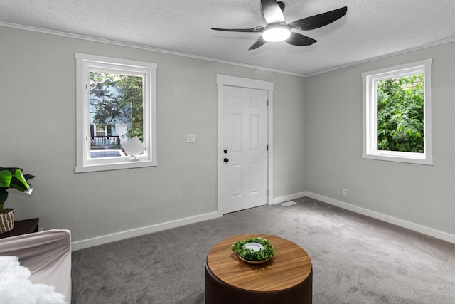 508 E Welch Ave, Columbus, OH 43207 - carpeted foyer entrance with healthy amount of natural light, a ceiling fan, a textured ceiling, and crown molding