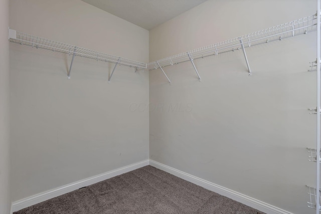 7263 Yarrow Run Rd, Plain City, OH 43064 - walk in closet with carpet flooring