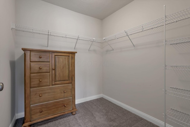 7263 Yarrow Run Rd, Plain City, OH 43064 - walk in closet with carpet floors