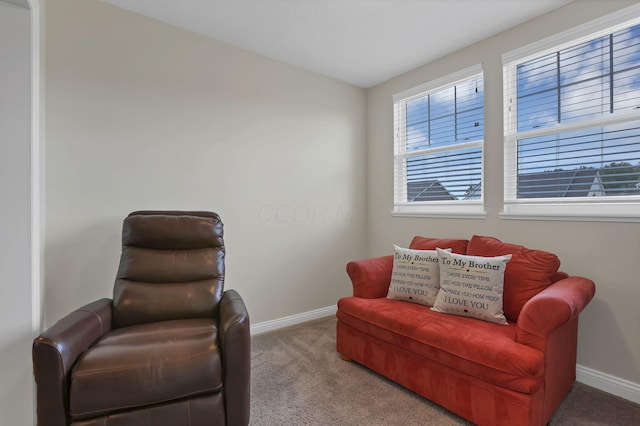 7263 Yarrow Run Rd, Plain City, OH 43064 - living area with carpet and lofted ceiling