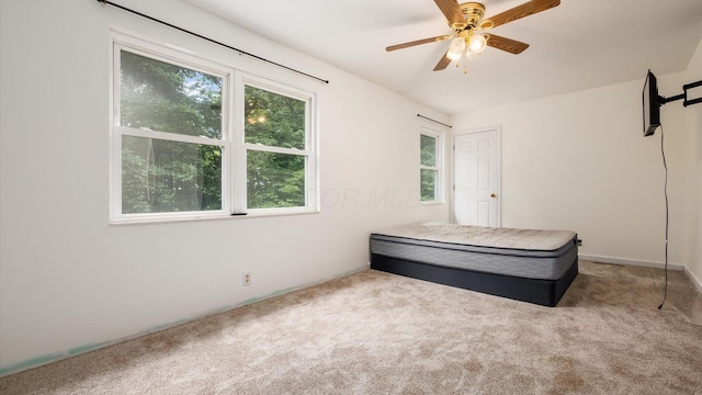 5520 Newark Rd, Mount Vernon, OH 43050 - photo 30