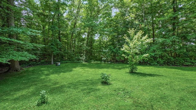 5520 Newark Rd, Mount Vernon, OH 43050 - photo 38