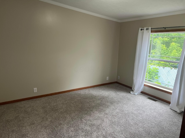 65 N Main St, Kingston, OH 45644 - photo 16