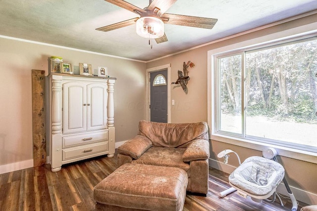 9020 Kinney Rd, Mount Vernon, OH 43050 - living area with ceiling fan, dark wood-style flooring, and ornamental molding