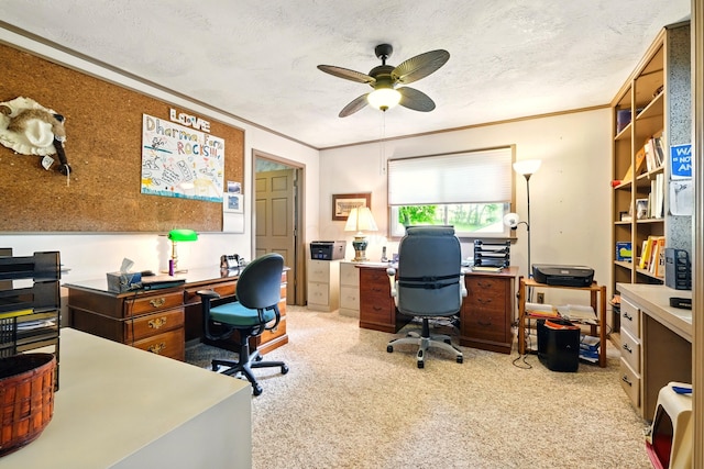7955 Horn Rd, Gambier, OH 43022 - photo 55