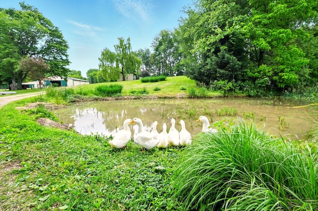 7955 Horn Rd, Gambier, OH 43022 - photo 12