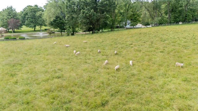 7955 Horn Rd, Gambier, OH 43022 - photo 87
