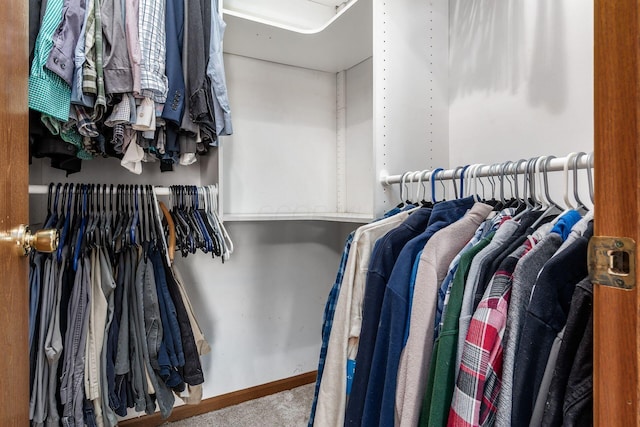 277 Plum Run Ct, Commercial Point, OH 43116 - walk in closet with carpet flooring