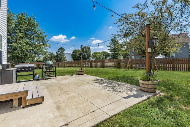 277 Plum Run Ct, Commercial Point, OH 43116 - fenced backyard featuring a patio and a grill