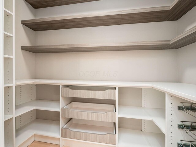 3311 Polden Hill Dr Unit 24, New Albany, OH 43054 - view of pantry