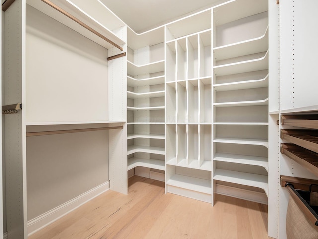 3311 Polden Hill Dr Unit 24, New Albany, OH 43054 - walk in closet featuring wood finished floors