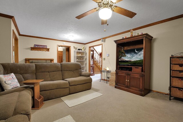 519 Forestview Ct, Circleville, OH 43113 - photo 11
