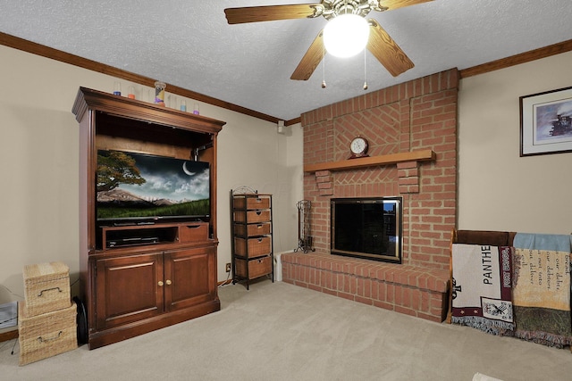 519 Forestview Ct, Circleville, OH 43113 - photo 12