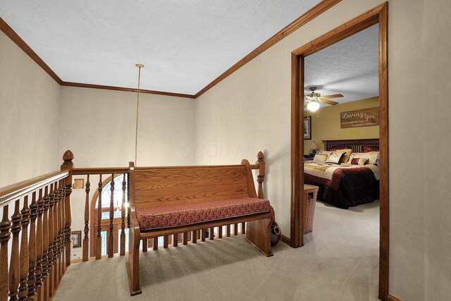 519 Forestview Ct, Circleville, OH 43113 - photo 20