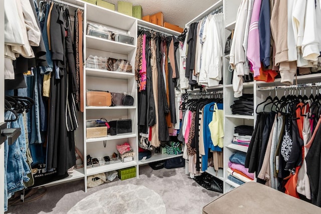 7036 Cannon Dr, Canal Winchester, OH 43110 - view of spacious closet