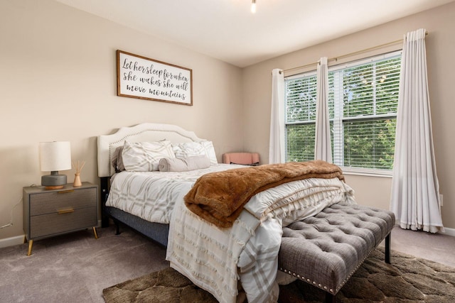 7036 Cannon Dr, Canal Winchester, OH 43110 - bedroom featuring carpet flooring and baseboards