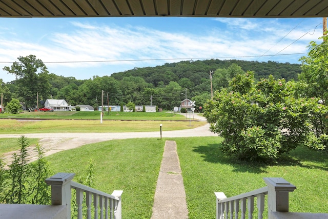 16703 Watkins Rd, Haydenville, OH 43127 - view of green lawn featuring a forest view