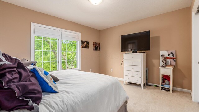 8933 Winding Creek Way, Pickerington, OH 43147 - bedroom with light carpet and baseboards